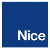 Nice logo